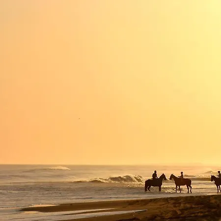 別荘 Zagroda サルビノボ