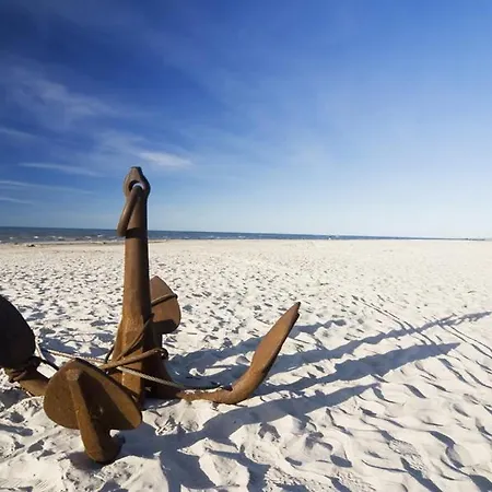 Zagroda サルビノボ