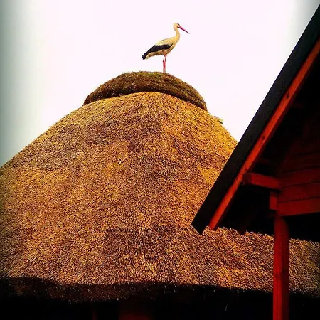 Zagroda * Сарбиново